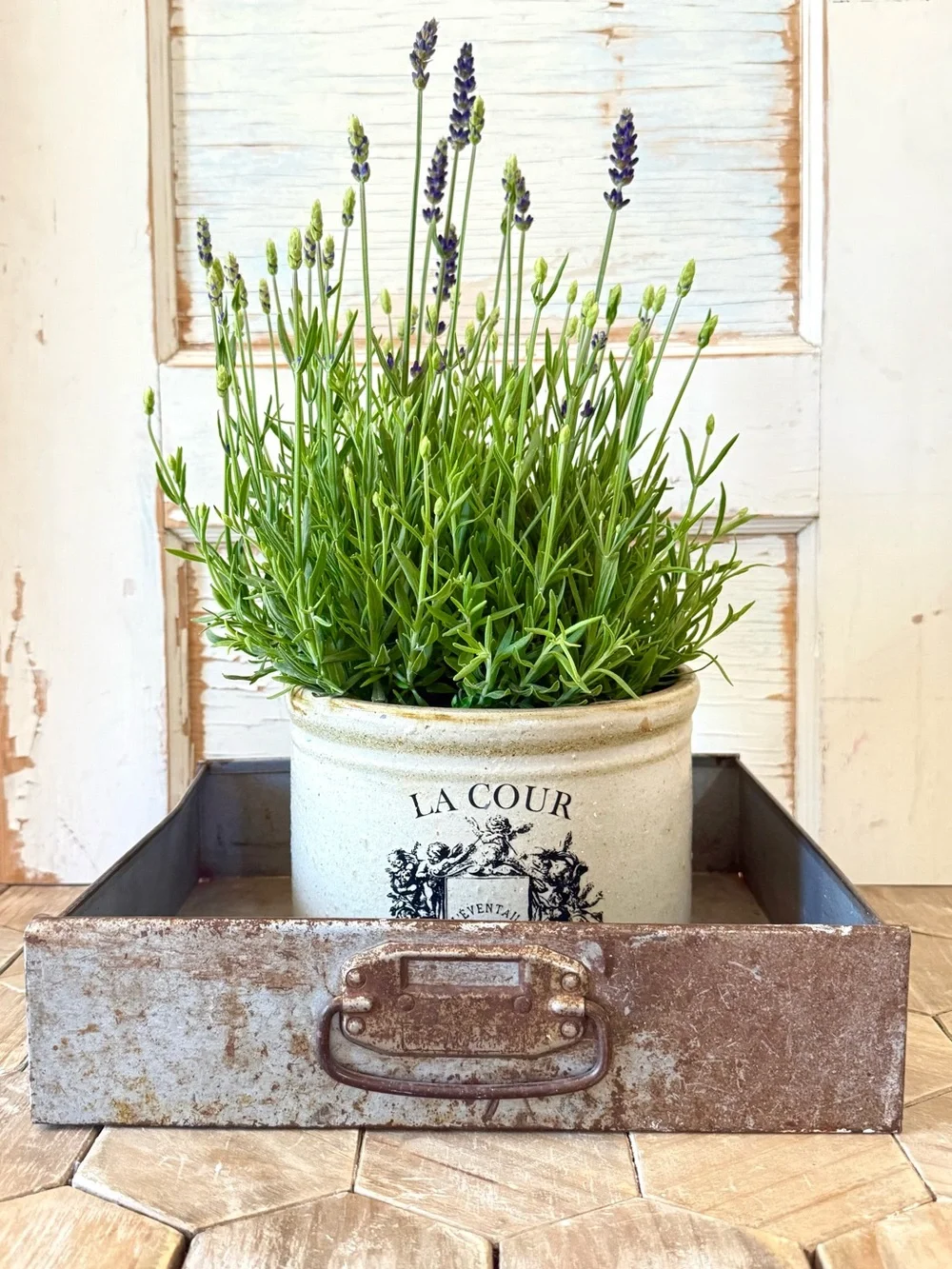 Vintage Rustic Iron Tray/Drawer w/Handle, Galvanized Metal